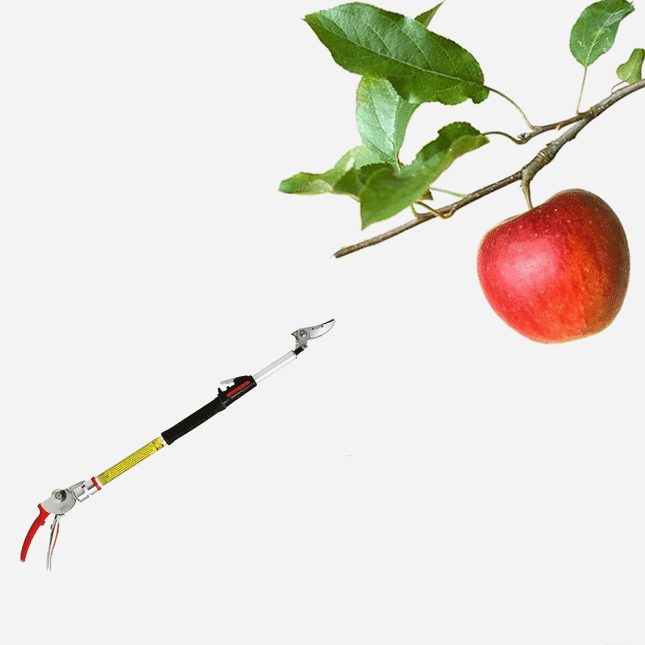 عصا إلتقاط الثمار وتجذيب الاغصان -  gardening