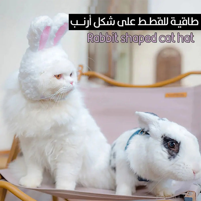 طاقية للقطط على شكل أرنب Rabbit Shaped Cat Hat -  مستلزمات حيوانات