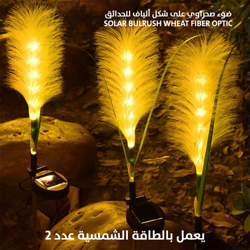 ضوء صحراوي على شكل ألياف يعمل بالطاقة الشمسية للحدائق عدد2 Solar Bulrush wheat Fiber optic  مستلزمات إضاءة