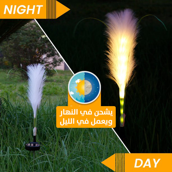 ضوء صحراوي على شكل ألياف يعمل بالطاقة الشمسية للحدائق عدد2 Solar Bulrush wheat Fiber optic  مستلزمات إضاءة