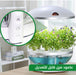 حديقة مائية مصغرة منزلية MINI Hydroponics Garden  عطور