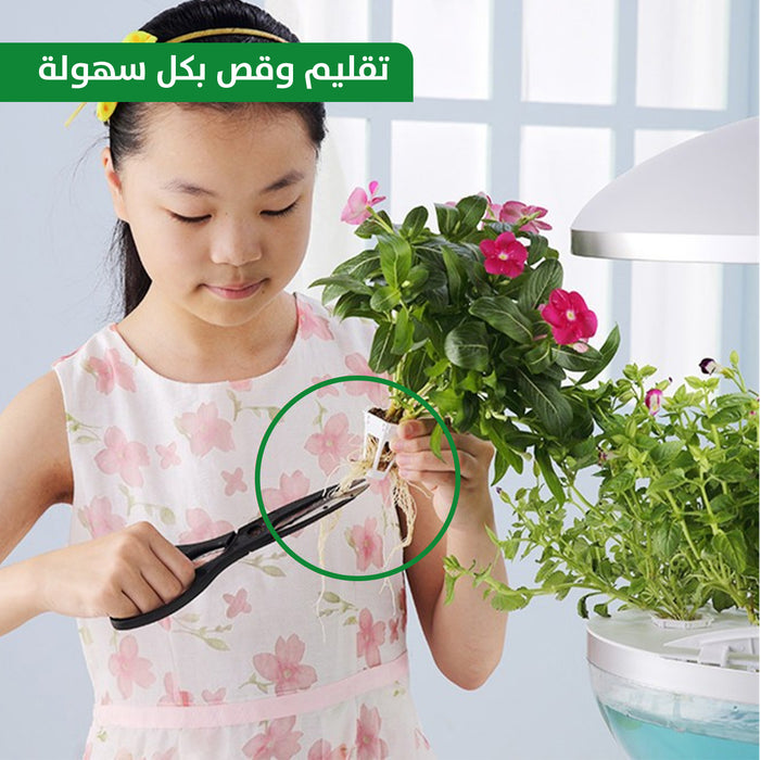 حديقة مائية مصغرة منزلية MINI Hydroponics Garden  عطور