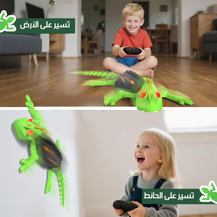 السحلية المتسلقة للجدران Wall-climbing Lizard