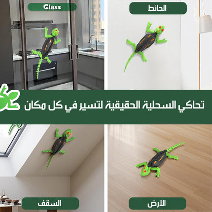 السحلية المتسلقة للجدران Wall-climbing Lizard