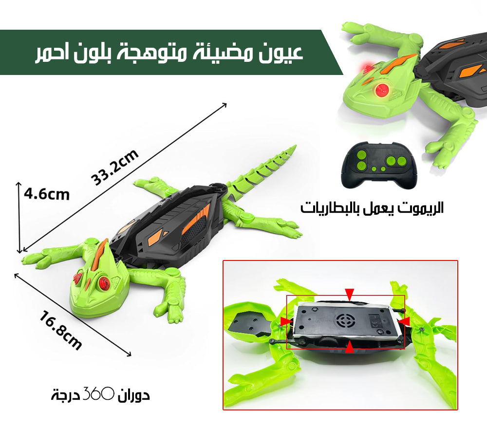 السحلية المتسلقة للجدران Wall-climbing Lizard