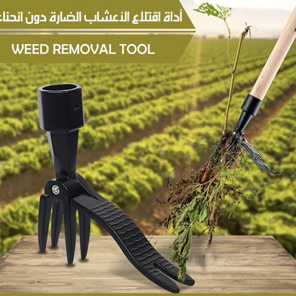 أداة اقتلاع الأعشاب الضارة دون انحناء WEED REMOVAL TOOL
