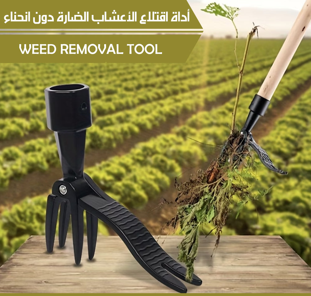 أداة اقتلاع الأعشاب الضارة دون انحناء WEED REMOVAL TOOL