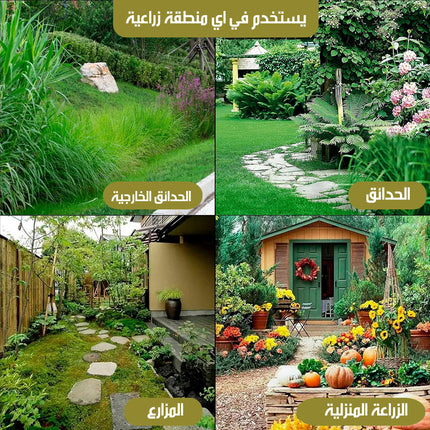 أداة اقتلاع الأعشاب الضارة دون انحناء WEED REMOVAL TOOL