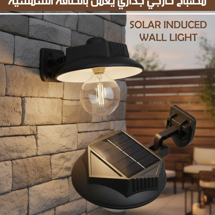 مصباح خارجي جداري يعمل بالطاقة الشمسية SOLAR INDUCED WALL LIGHT