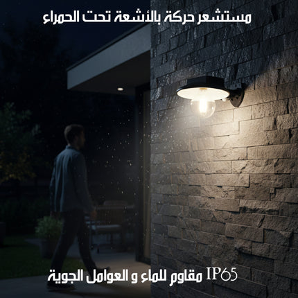 مصباح خارجي جداري يعمل بالطاقة الشمسية SOLAR INDUCED WALL LIGHT