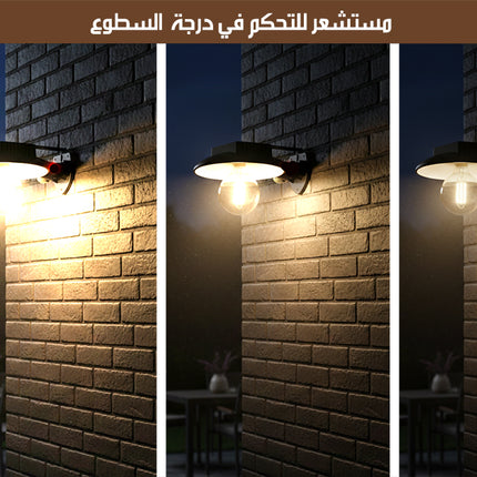 مصباح خارجي جداري يعمل بالطاقة الشمسية SOLAR INDUCED WALL LIGHT