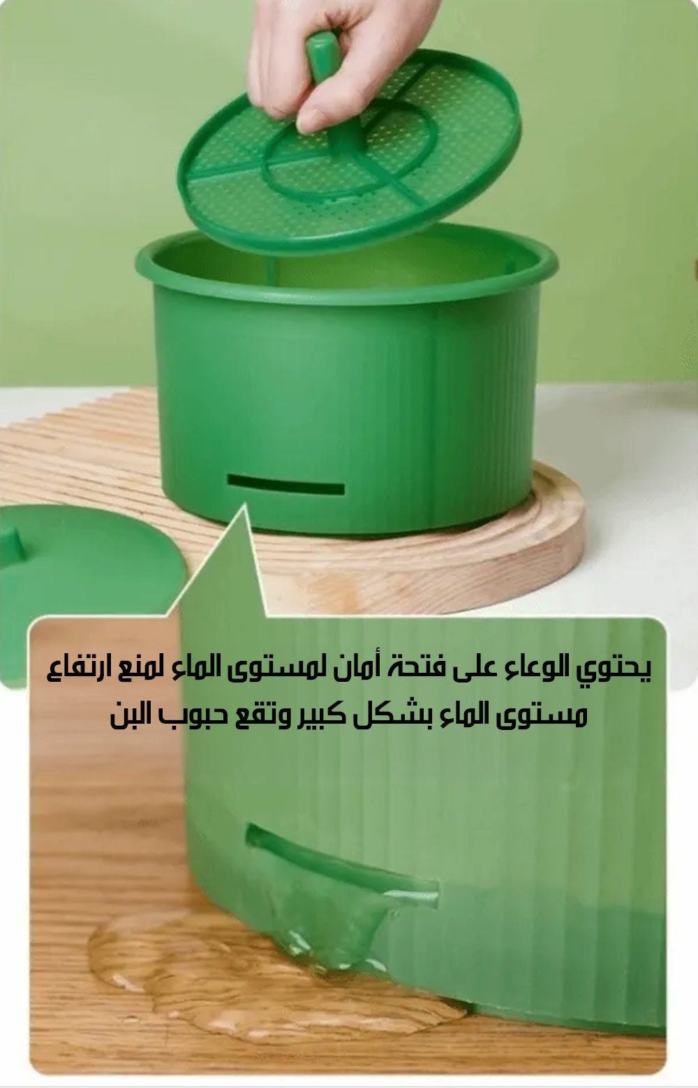 وعاء إنبات لإستنبات البذور والخضروات Seed & Vegetable Sprouting Bowl