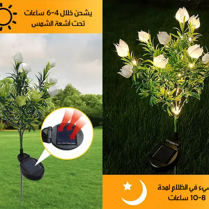 زهور مضيئة خارجية بالطاقة الشمسية Outdoor Solar Flowers