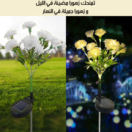 زهور مضيئة خارجية بالطاقة الشمسية Outdoor Solar Flowers