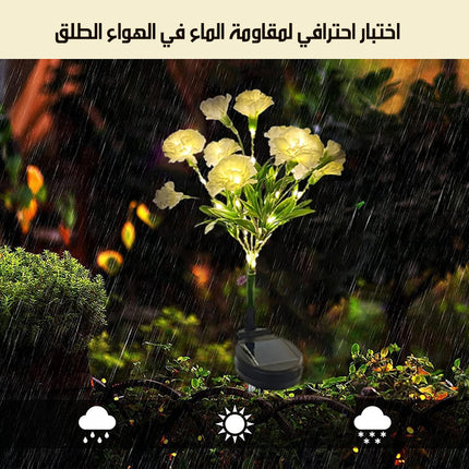 زهور مضيئة خارجية بالطاقة الشمسية Outdoor Solar Flowers