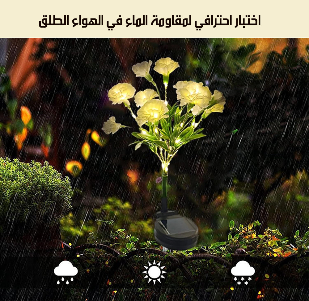 زهور مضيئة خارجية بالطاقة الشمسية Outdoor Solar Flowers