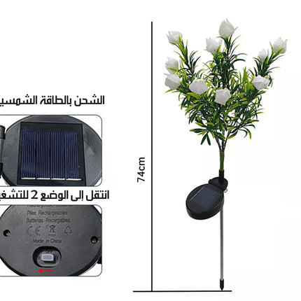 زهور مضيئة خارجية بالطاقة الشمسية Outdoor Solar Flowers