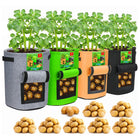 أكياس زراعة متينة للبطاطس والخضروات Durable Potato & Veg Grow Bags