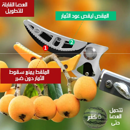 عصا إلتقاط الثمار وتجذيب الاغصان -  gardening