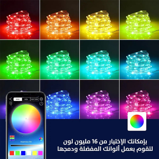 ضوء ليد متعدد الألوان يتغير بالصوت 10 متر SMART FAIRY LIGHTS IC - RGB 2440