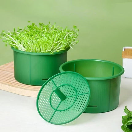 وعاء إنبات لإستنبات البذور والخضروات Seed & Vegetable Sprouting Bowl
