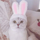 طاقية للقطط على شكل أرنب Rabbit Shaped Cat Hat 73
