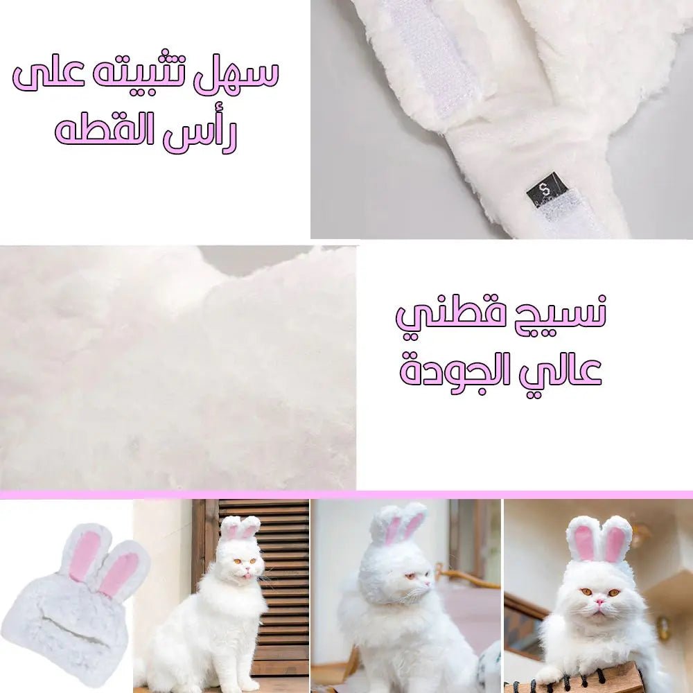 طاقية للقطط على شكل أرنب Rabbit Shaped Cat Hat 73