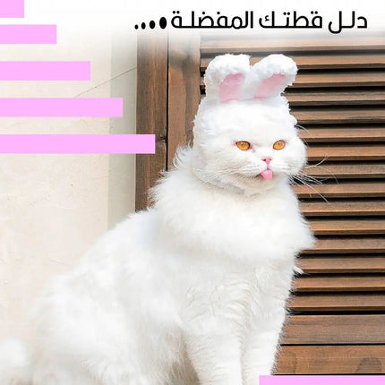 طاقية للقطط على شكل أرنب Rabbit Shaped Cat Hat 73